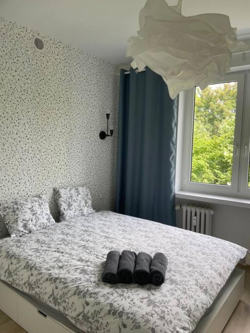 Apartament Kattowitz Sokolska Экстерьер фото